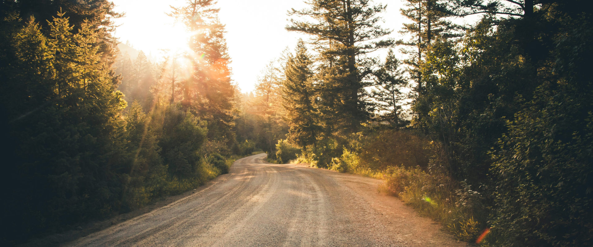 Photo of a dirt road curving through trees.